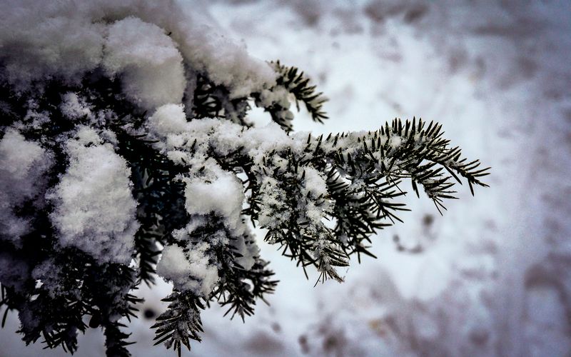 Snow