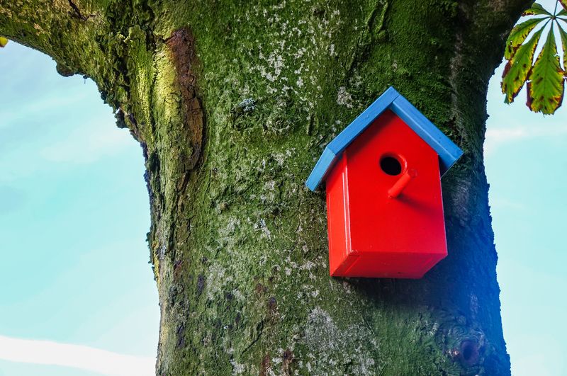 Birdhouse