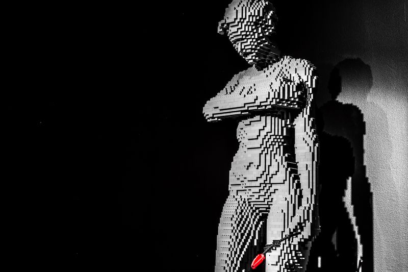 Art of the Brick