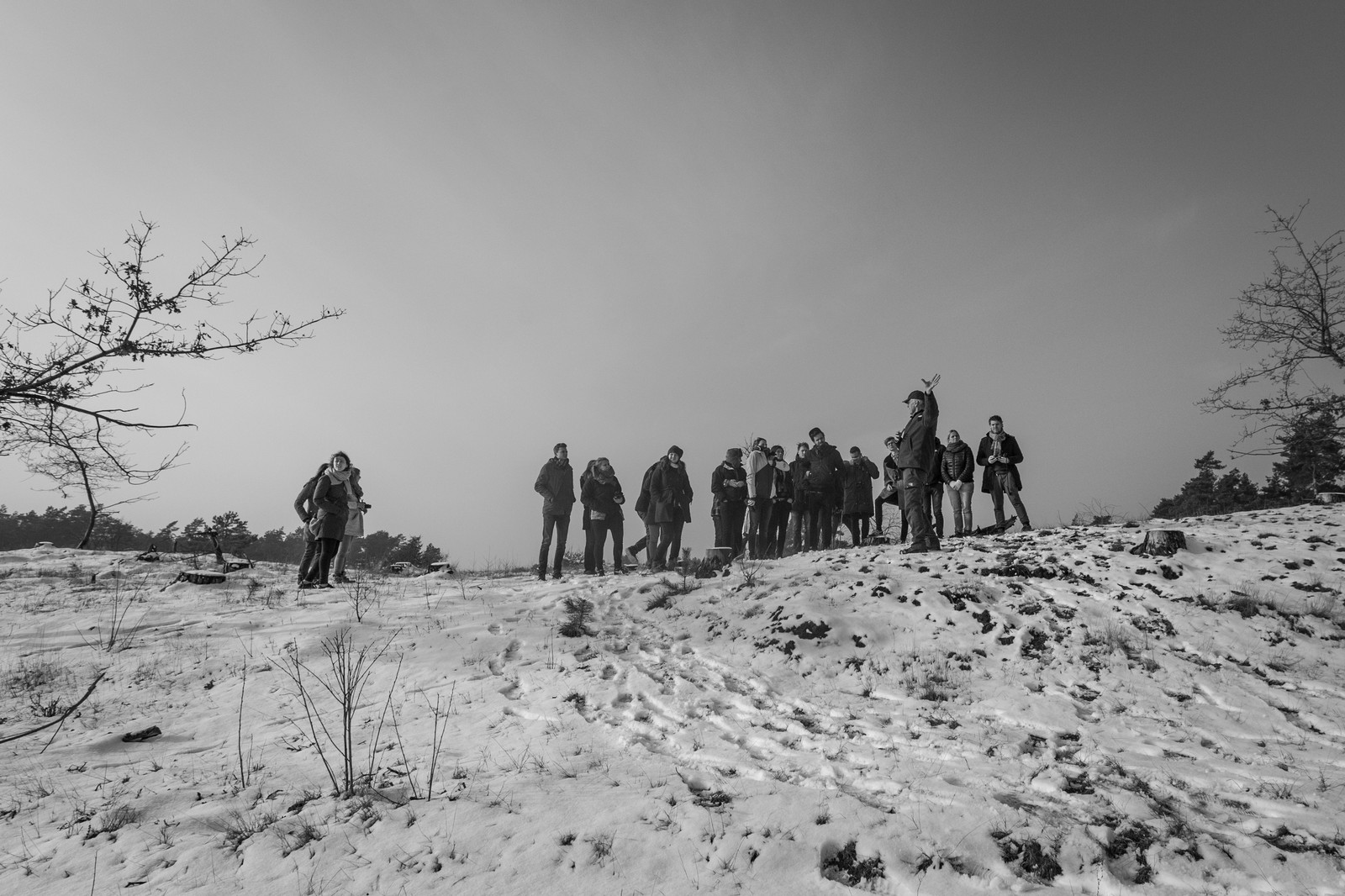 Veluwe