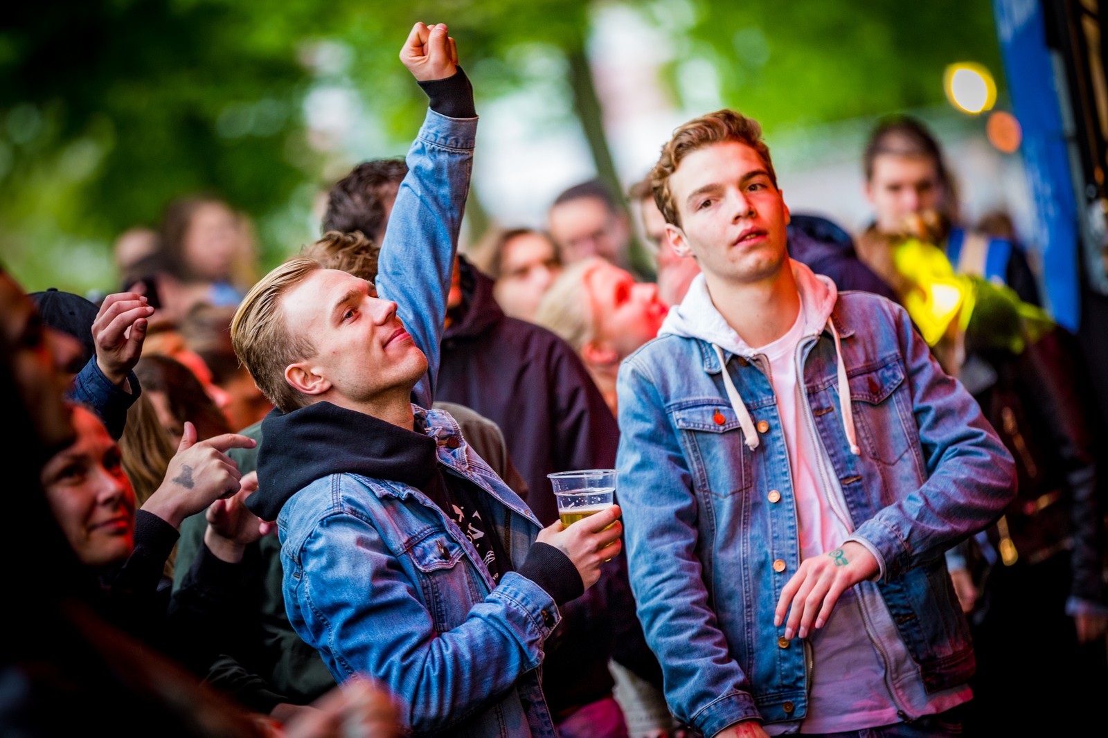 Bevrijdingsfestival