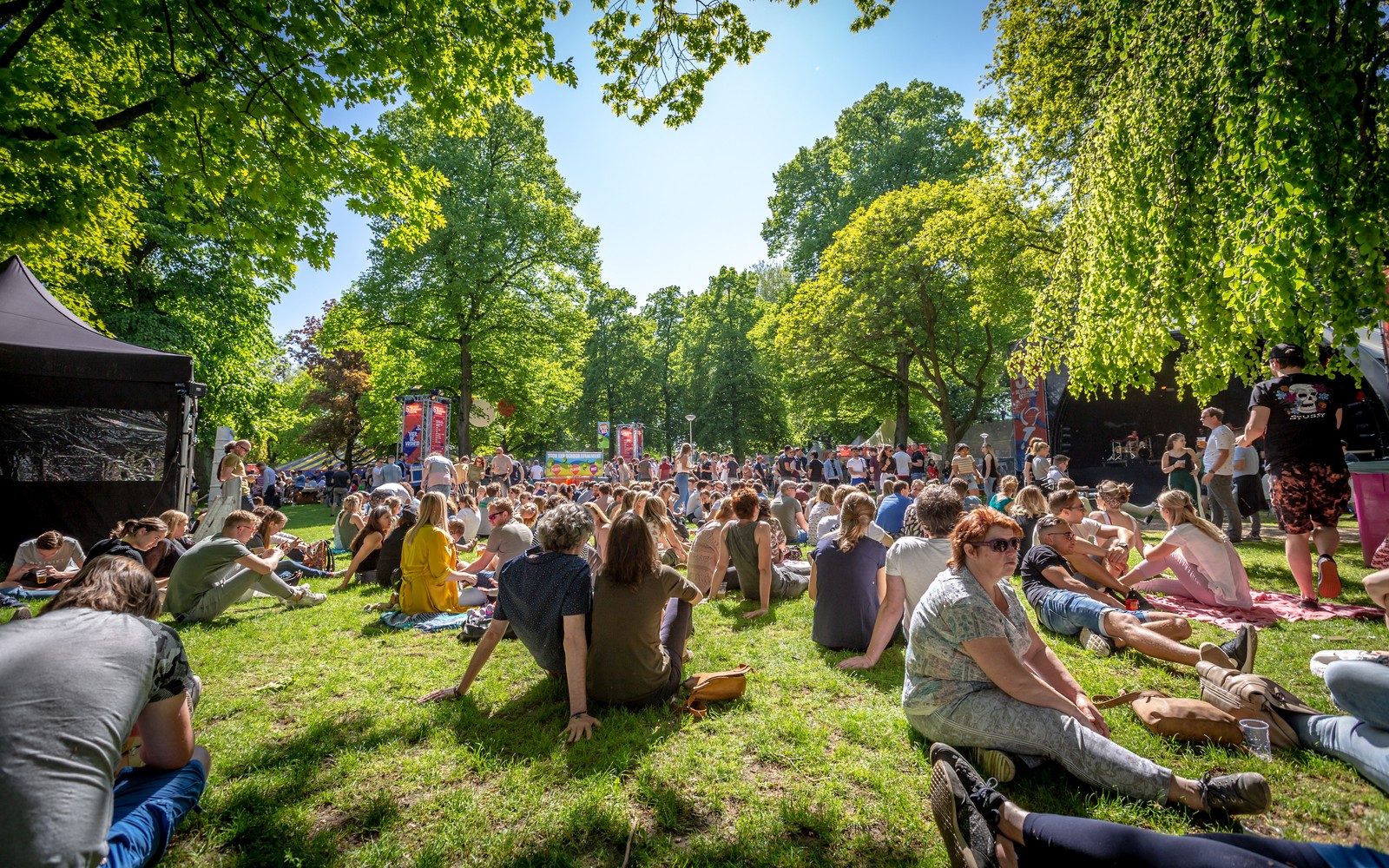 Bevrijdingsfestival