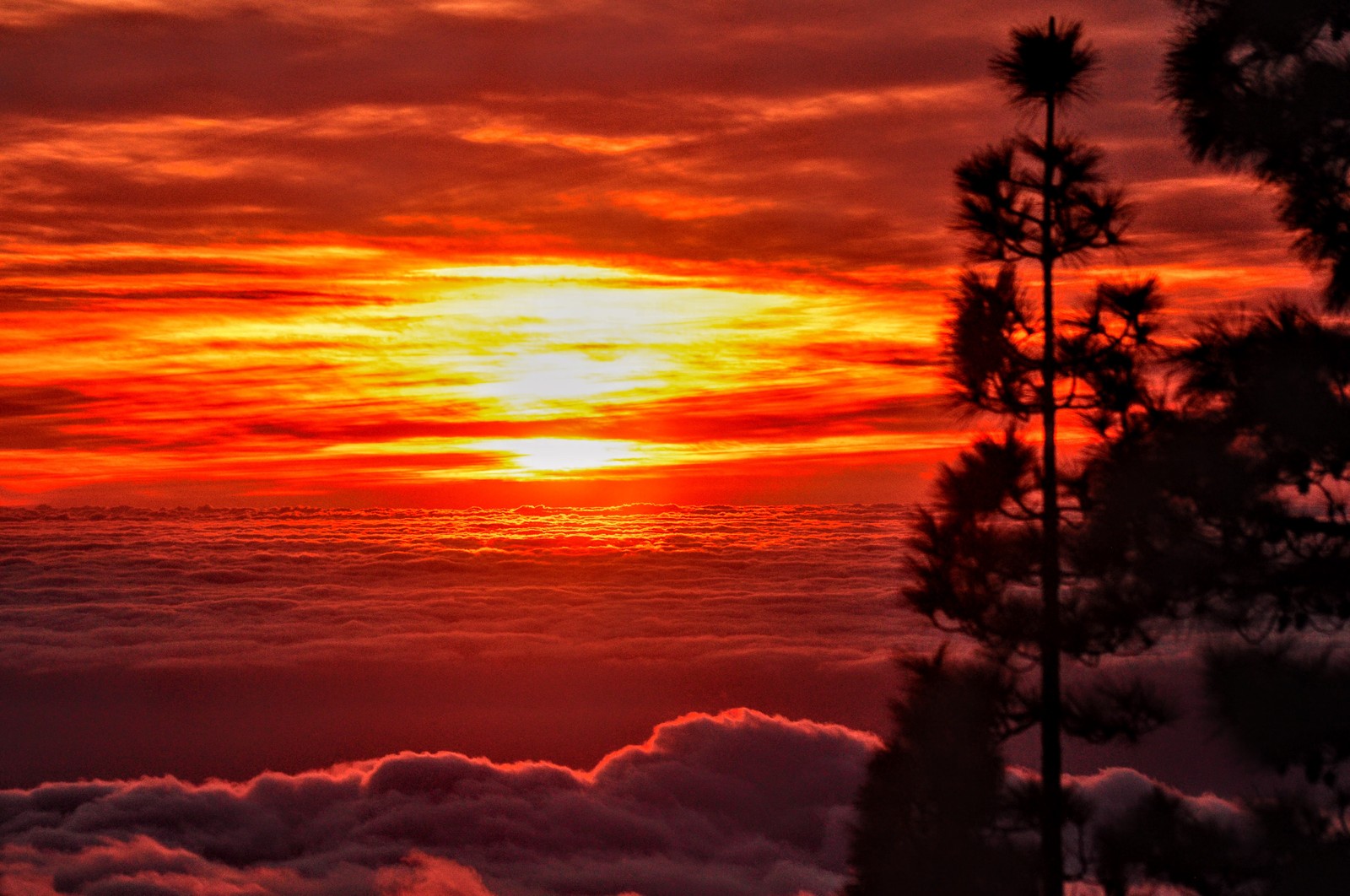 Sunset, El Teide