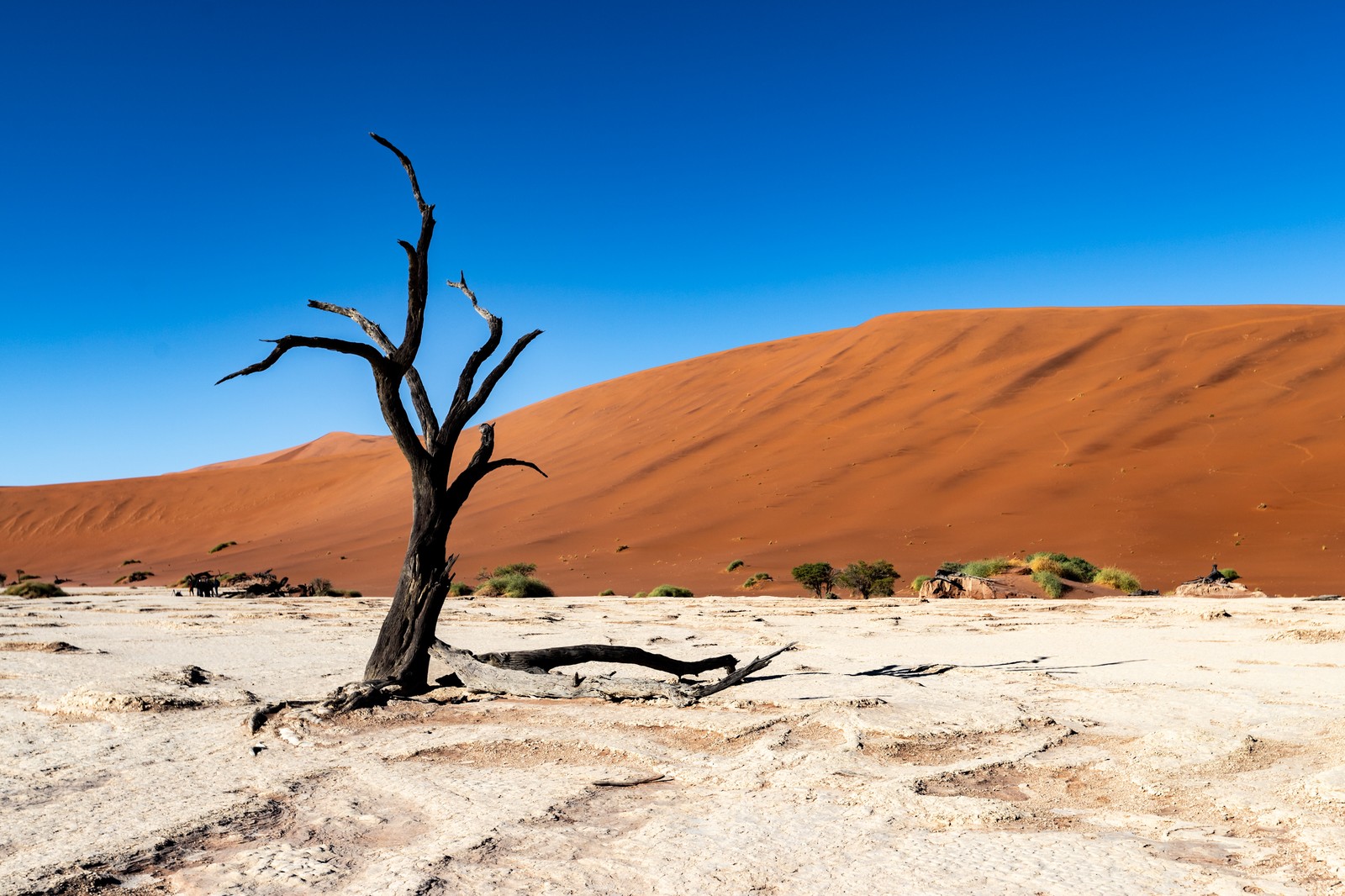 Namibia/Botswana