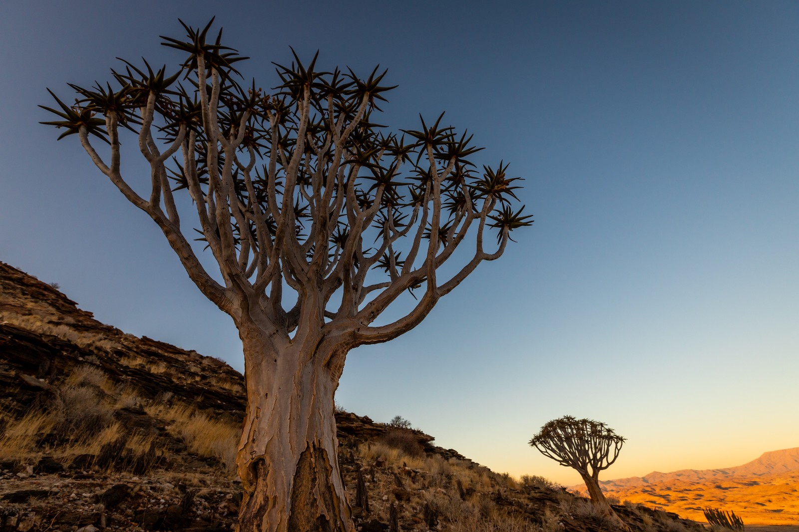 Namib's Valley