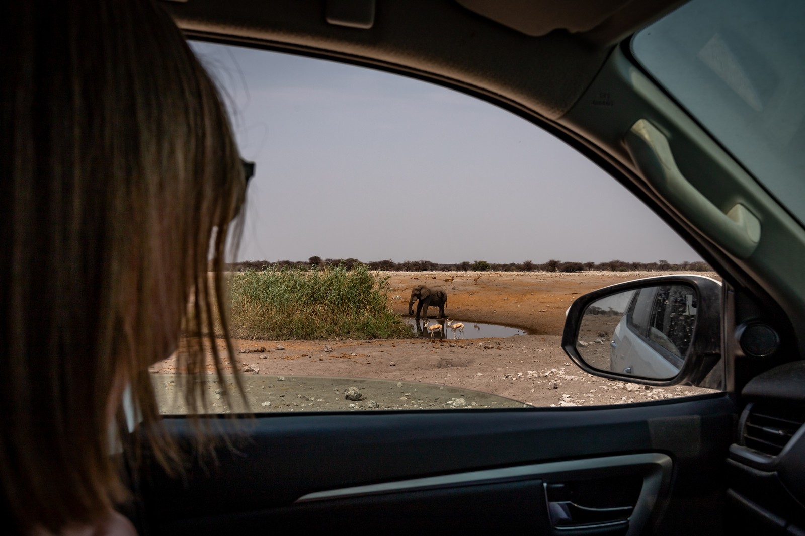 Etosha NP