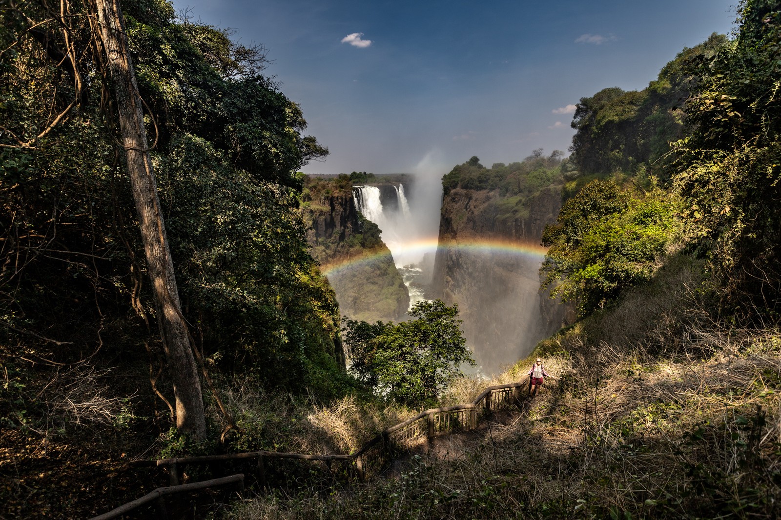 Victoria Falls