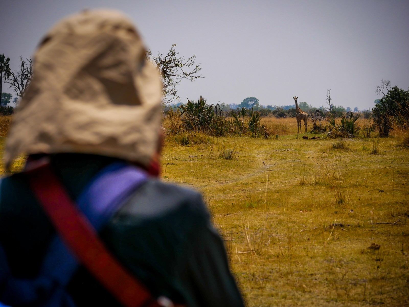 Okavango Delta