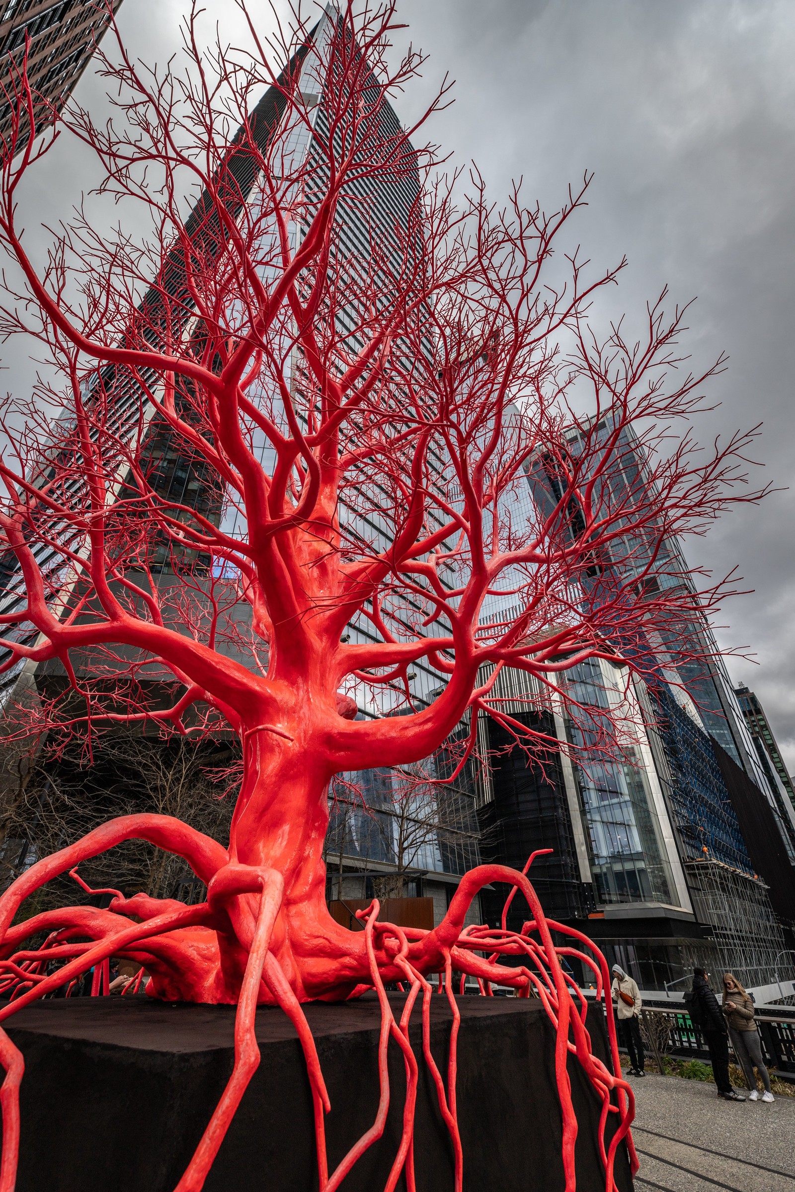 The High Line, NYC