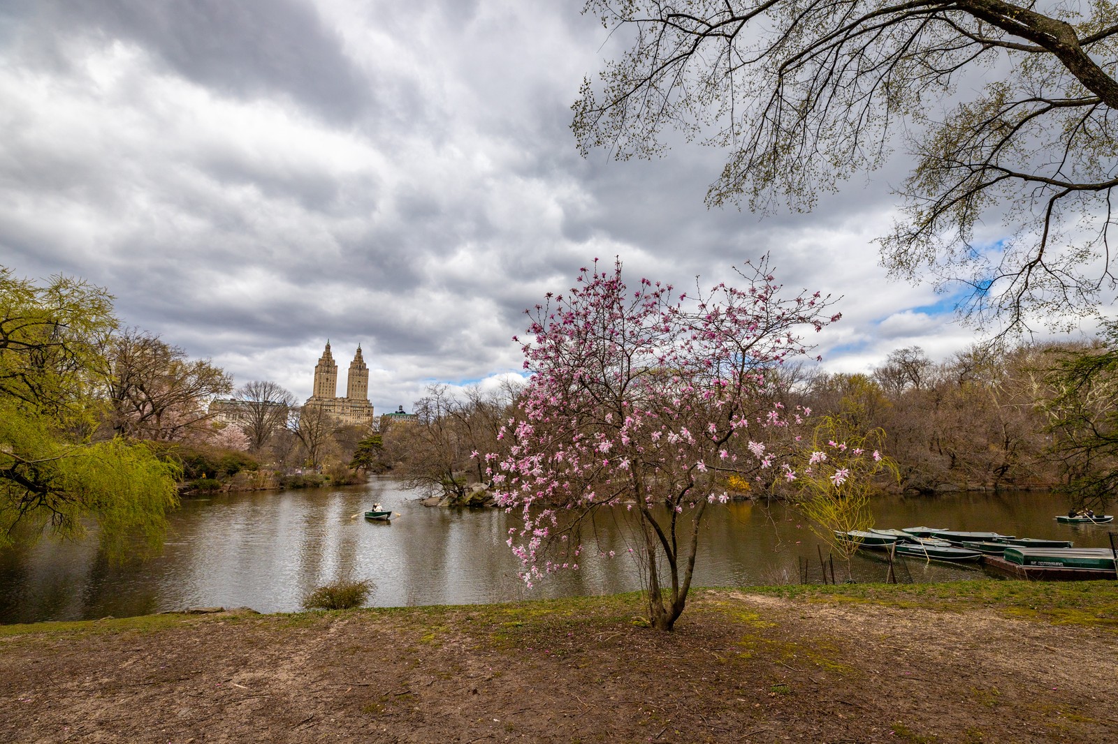 Central Park, NYC