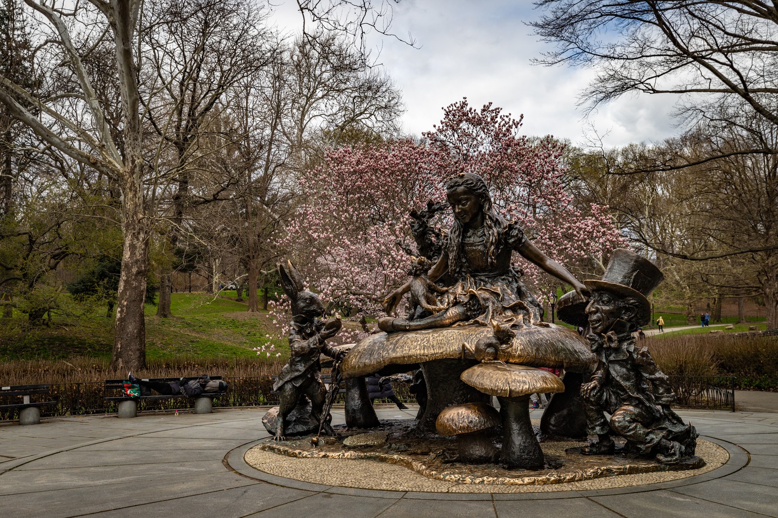 Central Park, NYC