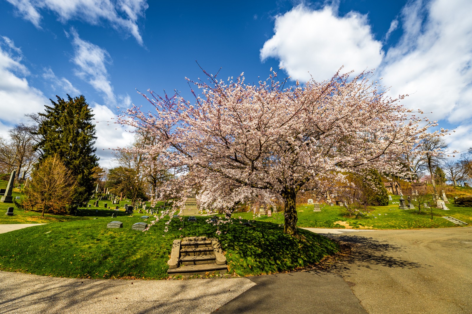 Green-wood cemetery, NYC