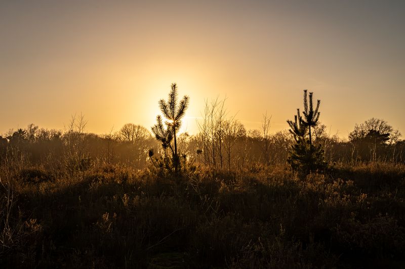 Hatertse Vennen