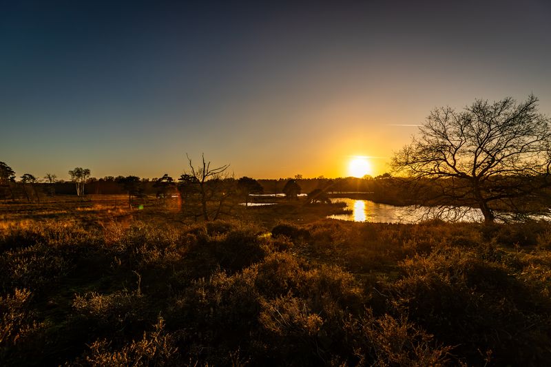 Hatertse Vennen