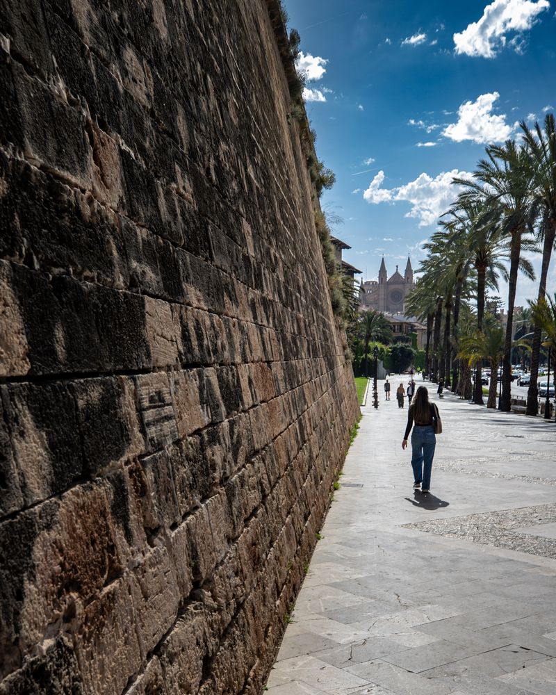 Palma