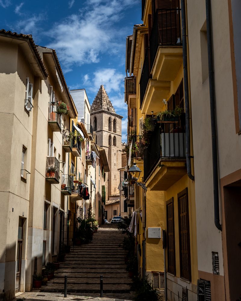 Palma